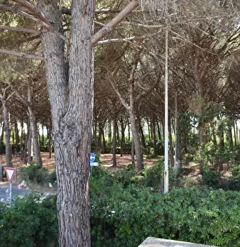 Foto annuncio 14