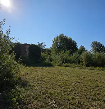 Foto annuncio 9