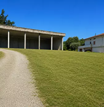 Foto annuncio 8