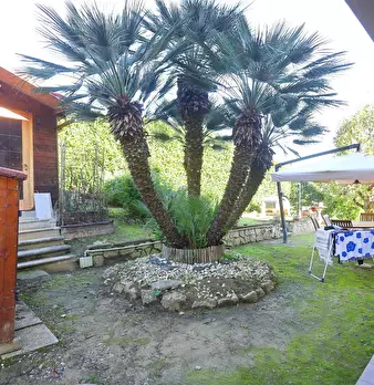 Foto annuncio 4
