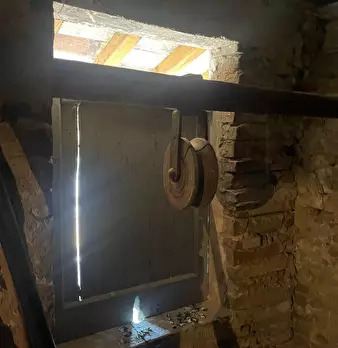Foto annuncio 31