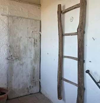 Foto annuncio 41