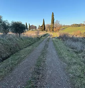 Foto annuncio 4
