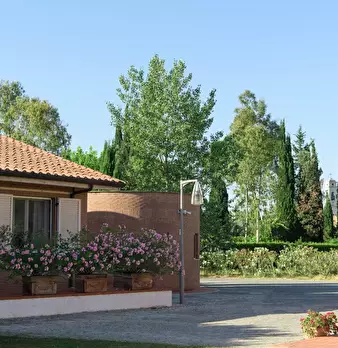 Foto annuncio 16