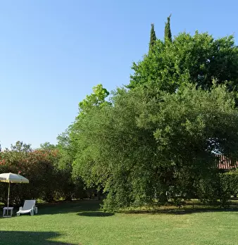 Foto annuncio 8