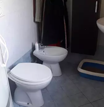 Foto annuncio 10