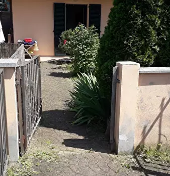 Foto annuncio 10