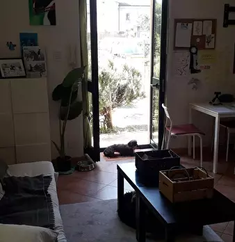 Foto annuncio 5