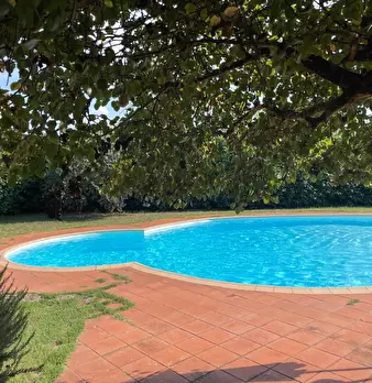 Foto annuncio 12