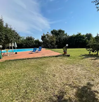 Foto annuncio 9