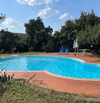 Foto annuncio 10