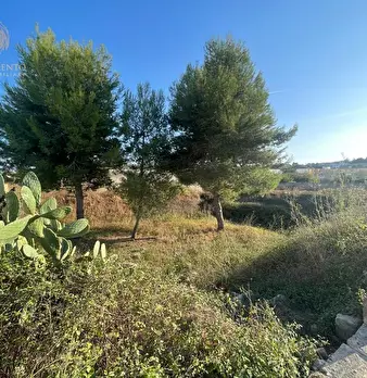Foto annuncio 8