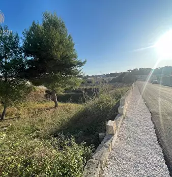 Foto annuncio 9