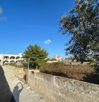 Foto annuncio 5