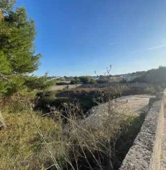 Foto annuncio 7