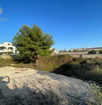 Foto annuncio 6