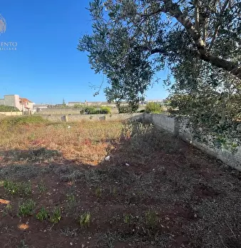 Foto annuncio 4