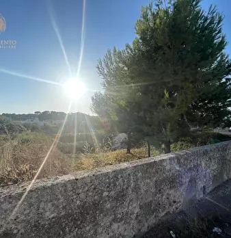 Foto annuncio 14