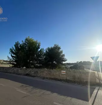 Foto annuncio 15