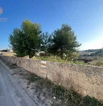 Foto annuncio 11