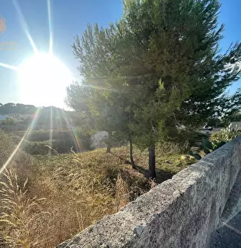 Foto annuncio 13