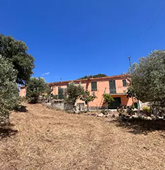 Foto annuncio 21