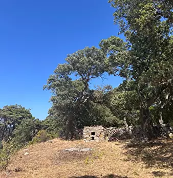 Foto annuncio 27