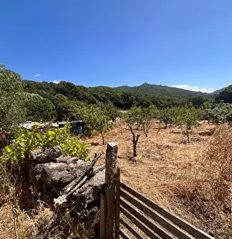 Foto annuncio 20