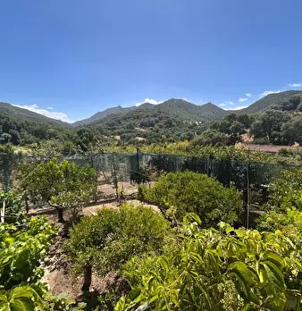 Foto annuncio 6