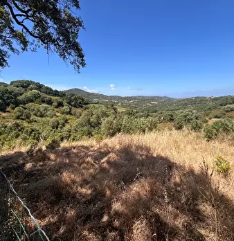 Foto annuncio 13
