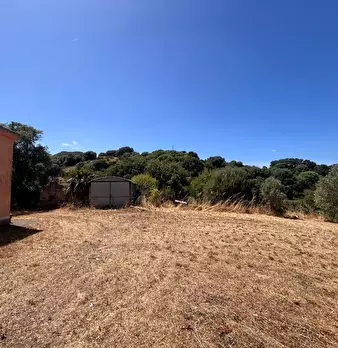 Foto annuncio 17
