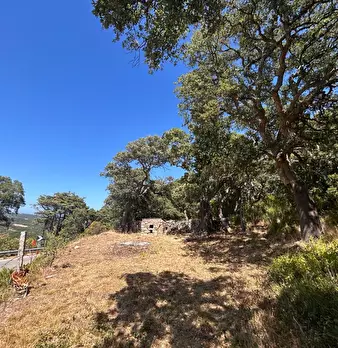 Foto annuncio 28