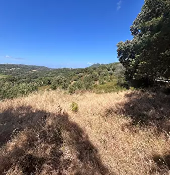 Foto annuncio 12