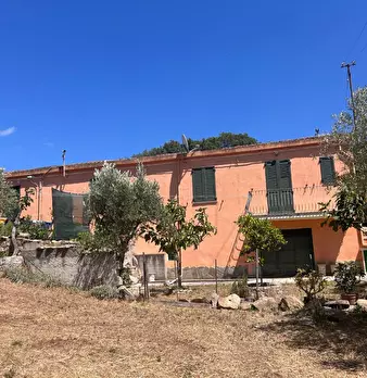 Foto annuncio 24