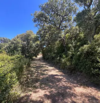 Foto annuncio 25