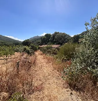 Foto annuncio 19