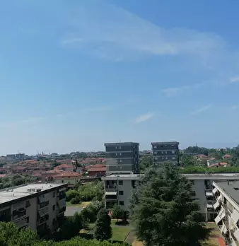 Foto annuncio 31