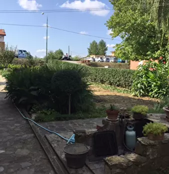 Foto annuncio 26