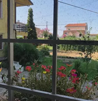 Foto annuncio 10