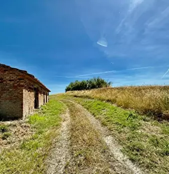 Foto annuncio 11