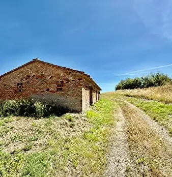 Foto annuncio 12
