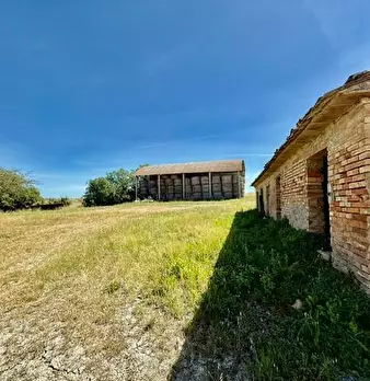 Foto annuncio 13