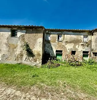 Foto annuncio 16