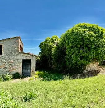 Foto annuncio 18