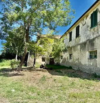 Foto annuncio 8