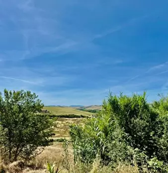 Foto annuncio 4