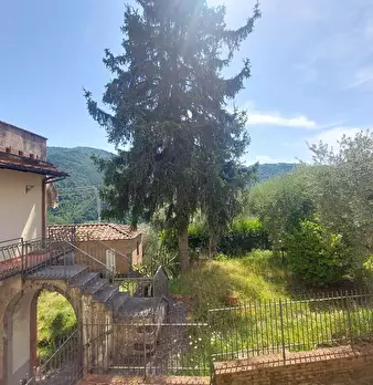 Foto annuncio 42