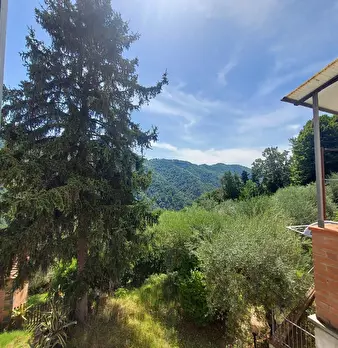 Foto annuncio 41