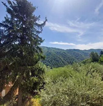 Foto annuncio 34