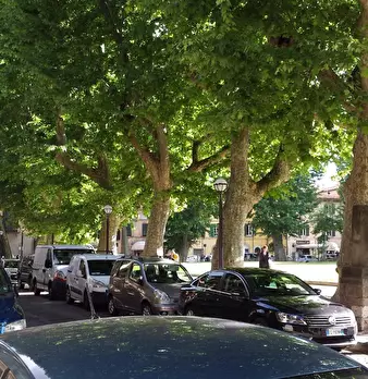 Foto annuncio 12